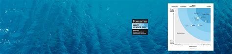 forrester wave marketing measurement and optimization solutions|The Forrester Wave™: Marketing Measurement And。